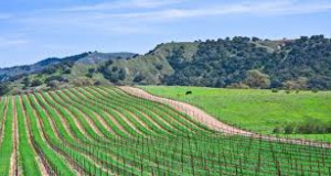 california wine regions