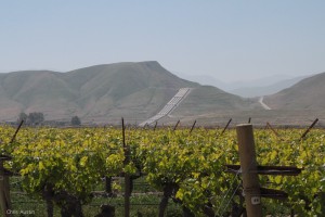 Central Valley wine