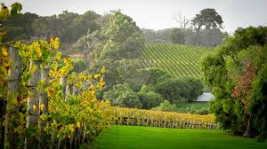 margaret river wine review