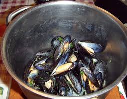 mussel cooking